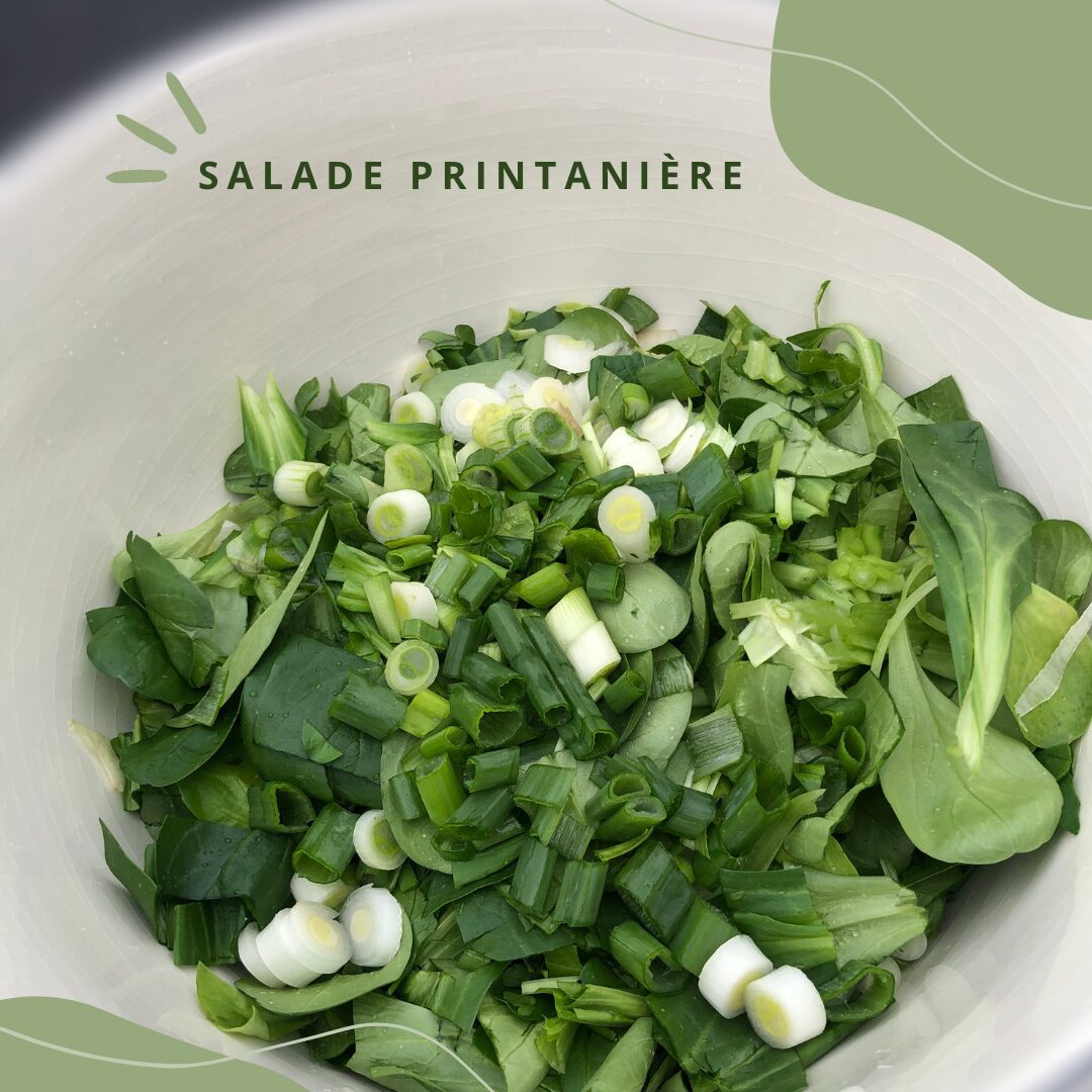 Salade printanière et sa vinaigrette aux agrumes